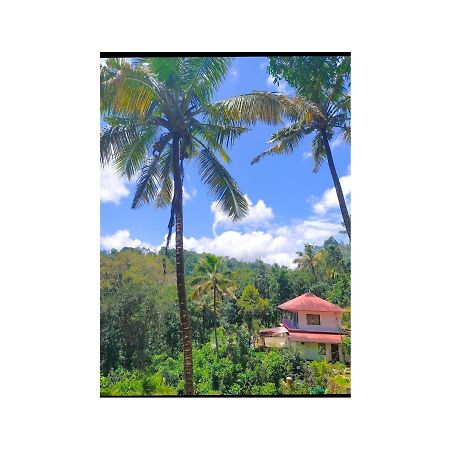 Athens Cottage Munnar Bagian luar foto