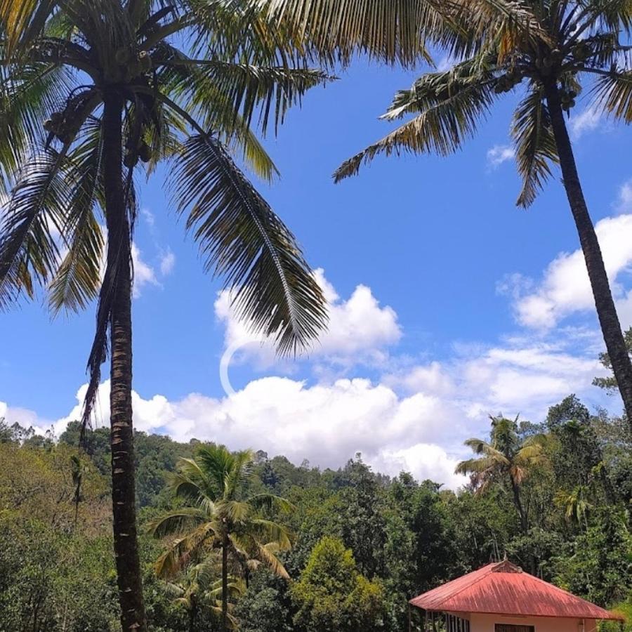 Athens Cottage Munnar Bagian luar foto