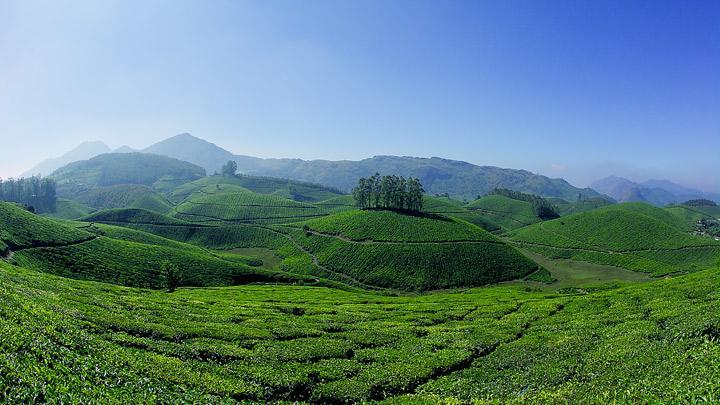 Athens Cottage Munnar Bagian luar foto