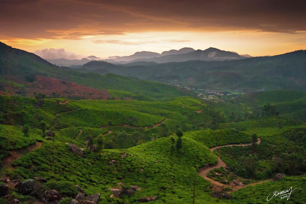 Athens Cottage Munnar Bagian luar foto