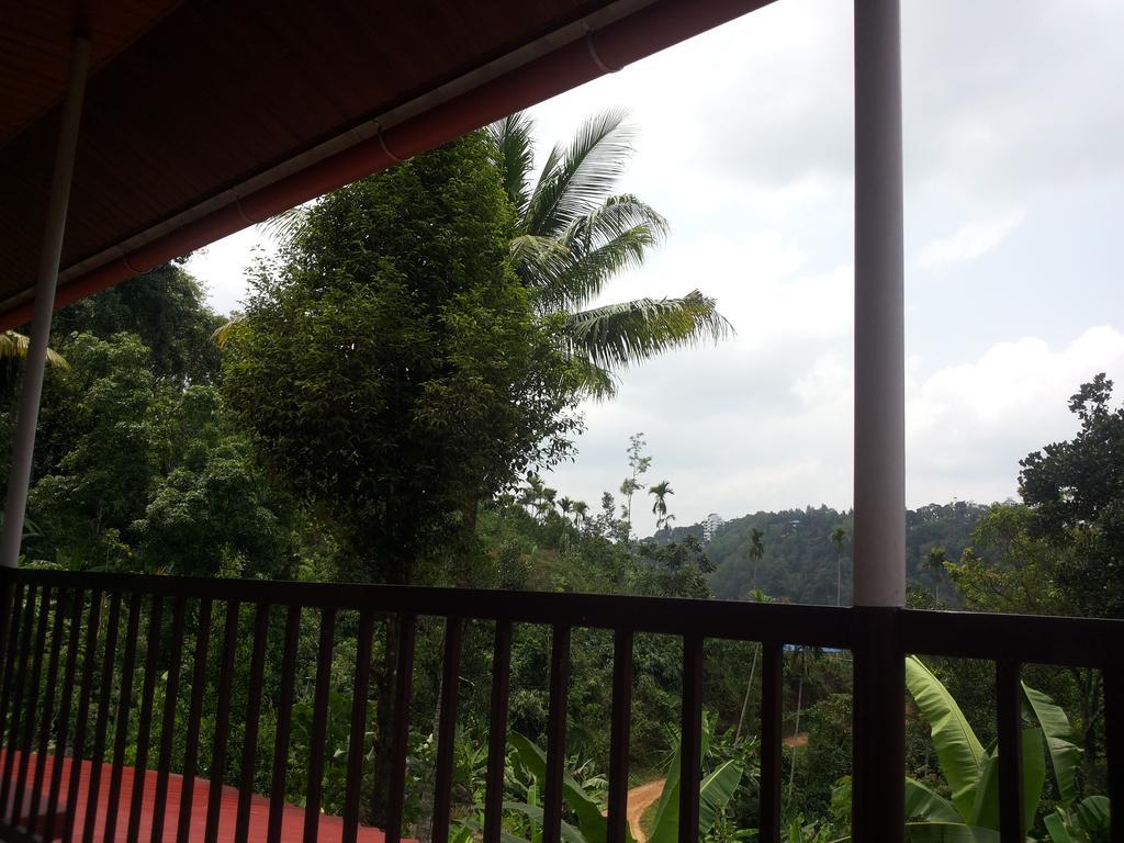 Athens Cottage Munnar Bagian luar foto