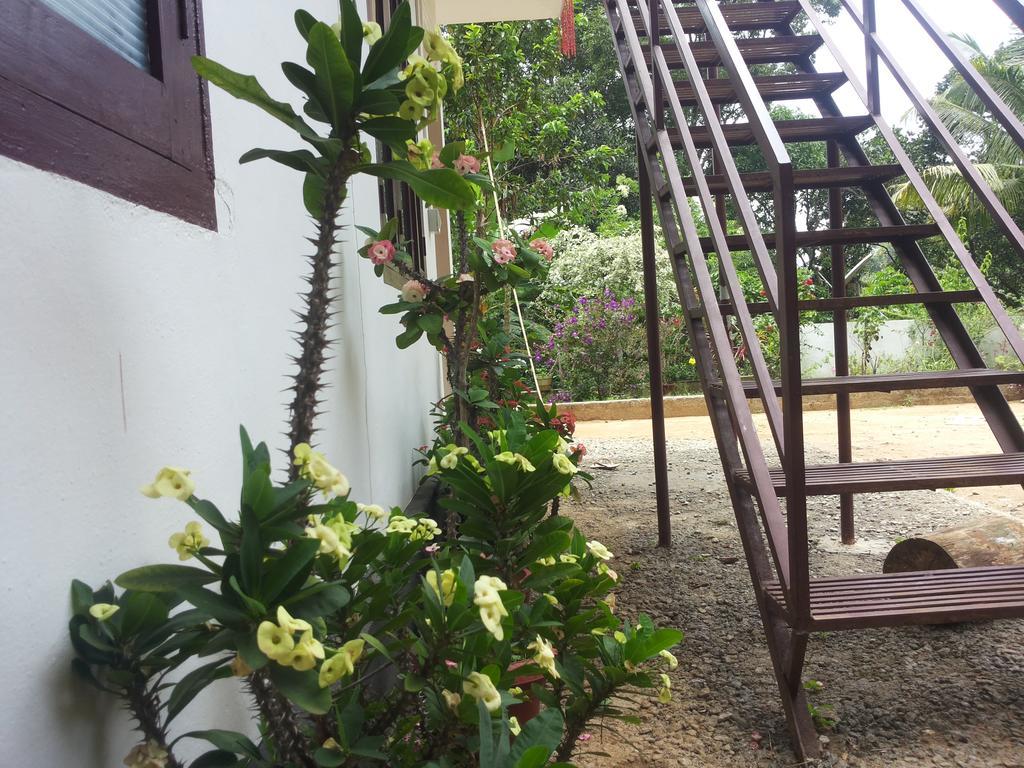 Athens Cottage Munnar Bagian luar foto