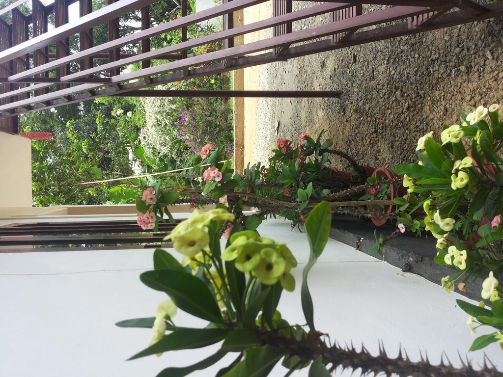 Athens Cottage Munnar Bagian luar foto