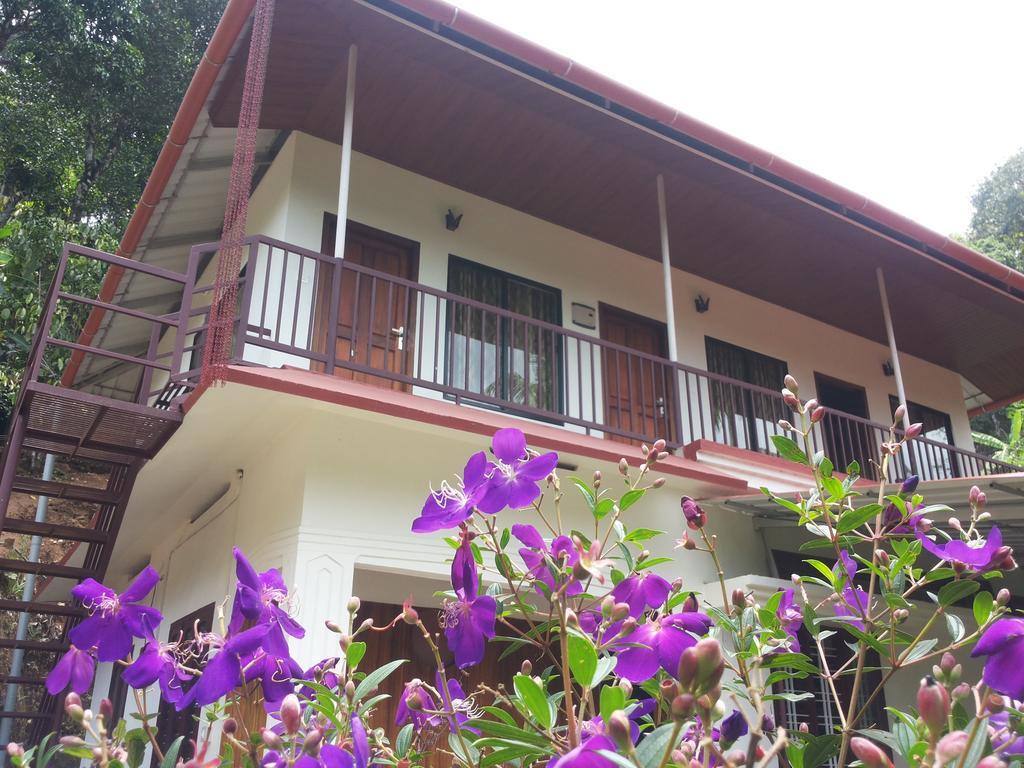 Athens Cottage Munnar Bagian luar foto