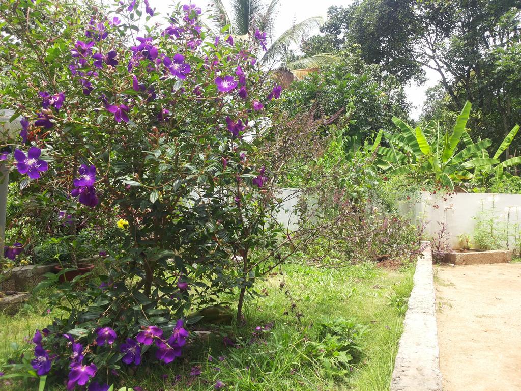 Athens Cottage Munnar Bagian luar foto
